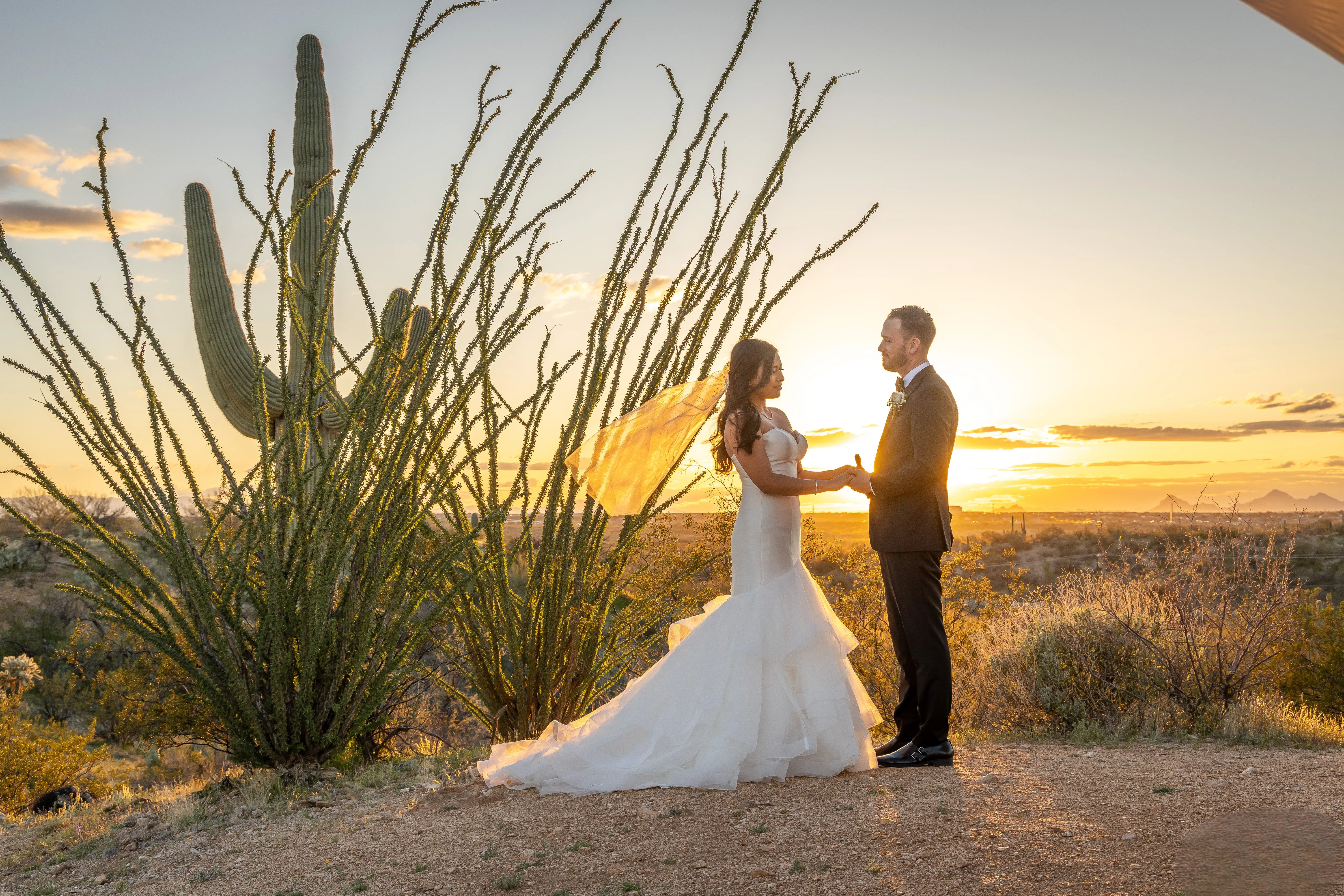 Bridal fair at Saguaro Buttes